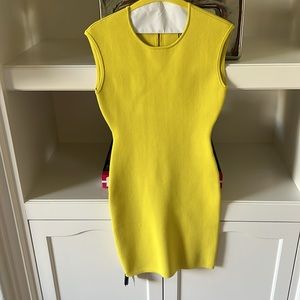 Brand new tags attached BCBG Maxazria $298 dress never worn size m